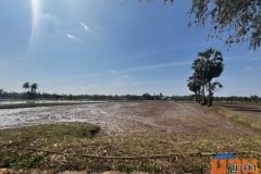 ขายที่นา 9 ไร่ ไม่ไกลจากตัวเมืองขอนแก่น