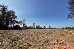 ขายที่ดินสำหรับทำการเกษตร ในเขตอำเภอเมือง ขอนแก่น