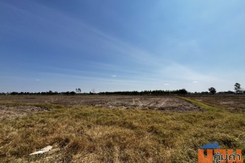 ขายที่นา 10 ไร่ ไม่ไกลจากตัวเมืองขอนแก่น