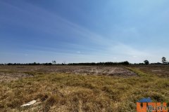 ขายที่นา 10 ไร่ ไม่ไกลจากตัวเมืองขอนแก่น