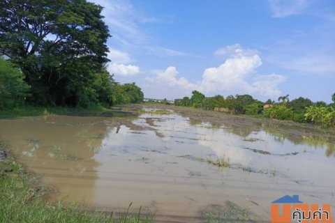 ขายด่วน ที่ดิน แปลงสวย 10-0-81ไร่ ติดถนนซอยอยู่วิทยา 13หนองจอก กทม