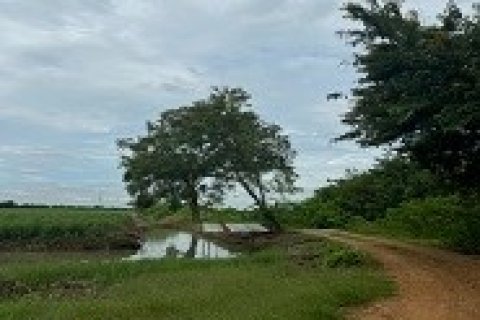 ขายด่วน ที่ดินเปล่าแปลงใหญ่148 ไร่ ทางหลวงหมายเลข 3035  ต.บึงคอไห อ.ลำลูกกา ปทุมธานี