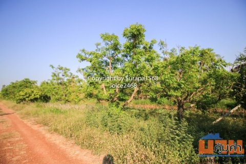 ขายที่ดิน ซ.สุวินทวงค์ 98 มีนบุรี หนองจอก ลาดกระบัง ฉะเชิงเทรา 2 ไร่ หรือ 800 ตร.ว หน้าถนนเป็นสาธารณะแล้ว