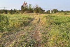 ขายที่ดิน 70 ตารางวา บ้านไผ่ใหญ่ หาดกรวด เมืองอุตรดิตถ์ 081 336 9775