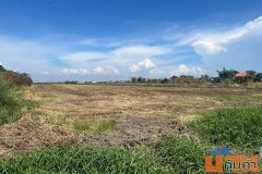 ขายที่ดินลาดกระบัง เนื้อที่50-3-79ไร่บนทำเลศักยภาพย่านถนนคุ้มเกล้า  นำเสนอสำหรับนักลงทุนและ Developer พื้นที่โดยรอบมีโคร