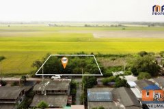 ที่ดินเปล่า 1 ไร่ ใกล้ถนนคลอง 13 หนองจอก ใกล้ชุมชน วัดแสนเกษม