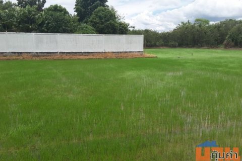 ที่ดิน 308 ตร.วา พุทธมณฑลสาย 5 ซอยบางกระทึก10 (ซอยบุญฝ้าย) นครปฐม