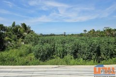 ขายที่ดินแปลงสวย 19 ไร่ 2 งาน ซอยนาจอมเทียน 50 และ 52 ทำเลดี เดินทางสะดวก ต.นาจอมเทียน อ.สัตหีบ จ.ชลบุรี