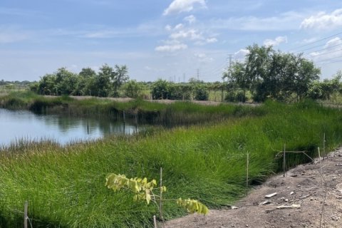 ขายที่ดินเปล่า 4 ไร่ ถมแล้ว ล้อมรั้ว มีบ่อน้ำ ราคาดี ทำเลกำลังโต