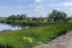 ขายที่ดินเปล่า 4 ไร่ ถมแล้ว ล้อมรั้ว มีบ่อน้ำ ราคาดี ทำเลกำลังโต