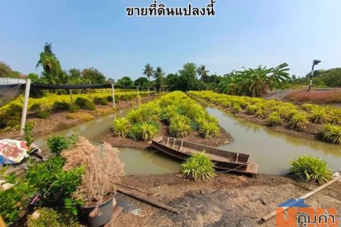 ขายที่ดินเนื้อที่ 3 ไร่ 3 งาน 92 ตารางวา ซ.สันติธรรม 2 อ.บางใหญ่ จ.นนทบุรี