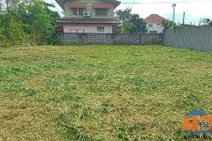 ที่ดิน 114 ตร.ว. ม.เปรมวดี พุทธมณฑลสาย 3 ถมแล้วสูงกว่าถนน 1 เมตร ถนนด้านหน้าที่ดินเป็นสาธารณะ ที่สวยมาก ราคาพร้อมโอน