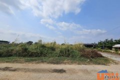 ขายที่ดินเปล่า แปลงมุม  ติดถนน 2 ด้าน ซอยวัดศรีวารีน้อย  อำเภอบางเสาธง สมุทรปราการ