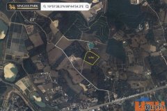 ขายที่ดินพรีเมียมติด Singha Park เชียงราย  14 ไร่  วิวภูเขาพาโนรามา