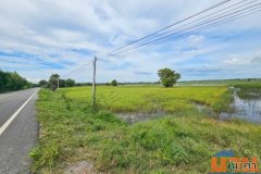 ขายที่ดิน สวย วิวธรรมชาติ 4ไร่ 2งาน 80ตรว. อ.กันทรวิชัย มหาสารคาม