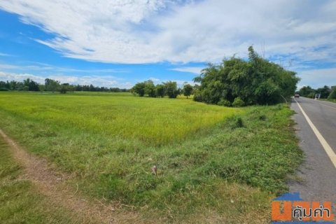 ขายที่ดิน ติดถนน เป็นที่นา 2 ไร่ 40 ตารางวา คันธารราษฎร์-กันทรวิชัย