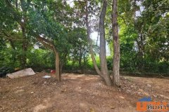 ขายที่ดิน 2ไร่ 2งาน 42ตารางวา ใกล้มหาวิทยาลัยมหาสารคาม