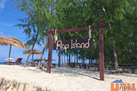 ที่ดินเกาะราบ ใกล้กับเกาะสมุย เดินทางด้วยเรือ หางยาว เรือสปีดโบ๊ท