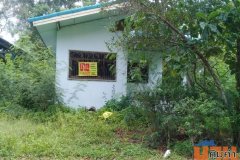 ขายบ้านชั้นเดียวพร้อมที่ดิน อ.ปากพนัง จ.นครศรีธรรมราช พร้อมเข้าอยู่ ทำเลดี ใกล้กรมชลประทาน