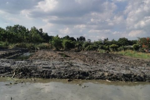 ขายที่ดินเปล่า 1-2-14 ไร่ ลำลูกกา คลอง 13 สายกลาง ใกล้แหล่งชุมชน เข้าซอยเพียง 400 ม.