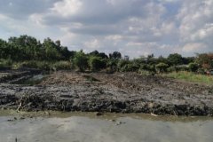 ขายที่ดินเปล่า 1-2-14 ไร่ ลำลูกกา คลอง 13 สายกลาง ใกล้แหล่งชุมชน เข้าซอยเพียง 400 ม.