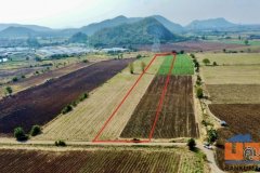 ขายที่ดิน ตากฟ้า นครสวรรค์ ราคาถูก (ไม่ถึงแสน)