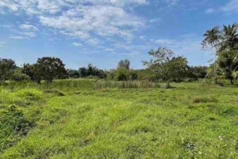 ขายด่วนที่ดินเปล่า แปลงใหญ่ ทำเลดี ลิปาน้อย สุราษฎร์ธานี