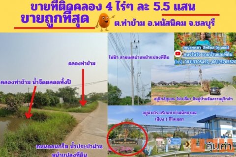 ขายถูกที่สุด ที่ดิน 4 ไร่ๆละ 5.5 แสน  ต.ท่าข้าม อ.พนัสนิคม จ.ชลบุรี