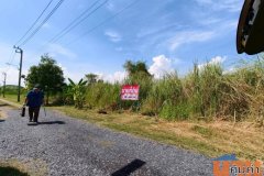 ขายที่ดินเเปลงสวย ลำลูกกาคลอง 12 ทำเลดี ใกล้ถนนหลัก พร้อมปลูกสร้าง