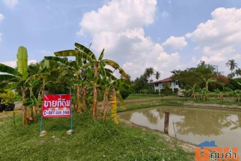 ขายที่ดินพร้อมสิ่งปลูกสร้าง ทำเลทอง ใกล้ถนนพุทธมณฑลสาย 7 และถนนบรมราชชนนี อำเภอสามพราน จังหวัดนครปฐม