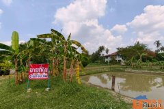 ขายที่ดินพร้อมสิ่งปลูกสร้าง ทำเลทอง ใกล้ถนนพุทธมณฑลสาย 7 และถนนบรมราชชนนี อำเภอสามพราน จังหวัดนครปฐม