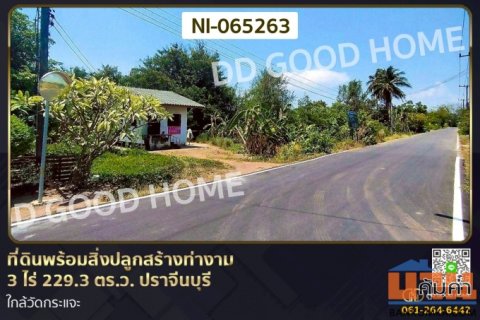 ที่ดินพร้อมสิ่งปลูกสร้างท่างาม 3 ไร่ 229.3 ตร.ว. ปราจีนบุรี ใกล้วัดกระแจะ NI-065263