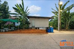 ขายที่ดิน  ติดถนนคอนกรีต อำเภอบางเสาธง  สมุทรปราการ เข้า ออก ได้หลายเส้นทาง