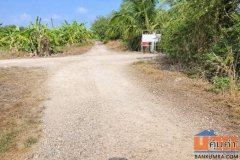 ขายที่ดินแปลงเดียว 2 โฉนด 250 ไร่ หนองหมู วิหารแดง สระบุรี เหมาะทำเกษตรและลงทุน