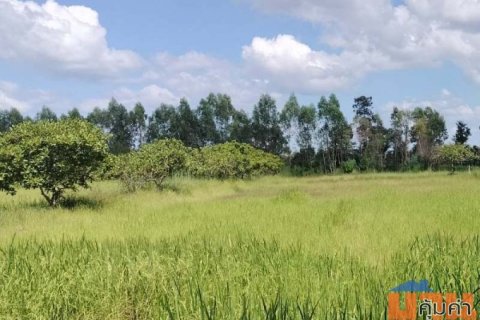 ขายที่ดินอุบลฯ สวยๆ 5 ไร่  เพียง 800,000 บาท เท่านั้น ถูกกว่านี้ไม่มีอีกแล้ว!!