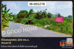 NI-065278 ที่ดินคลองหก 200 ตร.ว. ปทุมธานี ใกล้มหาวิทยาลัยเทคโนโลยีราชมงคลธัญบุรี