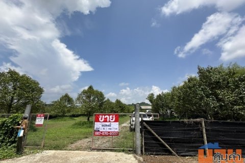 ขายสวนทุเรียน พร้อมเก็บเกี่ยวผลผลิต จังหวัดจันทบุรี