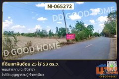 NI-065272 ที่ดินเขาหินซ้อน 25 ไร่ 53 ตร.ว. พนมสารคาม ฉะเชิงเทรา ใกล้วัดบุญญารามปู่เจ้าเขาเขียว