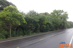 ขายที่ดินเปล่า โอกาสสำหรับนักลงทุน จ.สระบุรี 24 ไร่  15 ล้านบาท