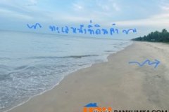 ที่ติดทะเล1 ไร่ 3 ล้านหาไม่ได้แล้วจ้า