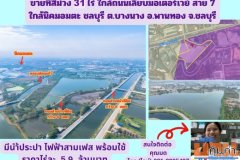 ขายที่สีม่วง  31  ไร่ ใกล้ถนนเลียบมอเตอร์เวย์ สาย 7 ใกล้นิคมอมตะ ชลบุรี  ต.บางนาง อ.พานทอง จ.ชลบุรี