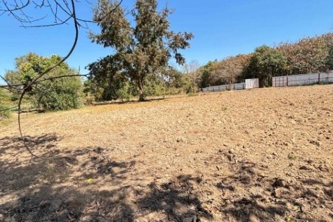 ขายที่ดินแปลงสวย ทำเลทอง อำเภอพนัสนิคม จังหวัดชลบุรี