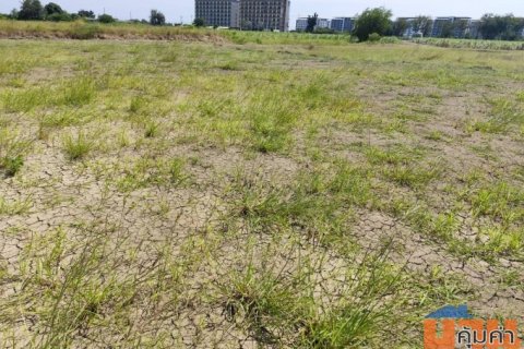 ขายที่ดินเปล่าแปลงใหญ่ กำแพงแสน 9 ไร่กว่าแบ่งขายได้ นครปฐม ทำเล สงบ ใกล้ ม เกษตร กำแพงแสน