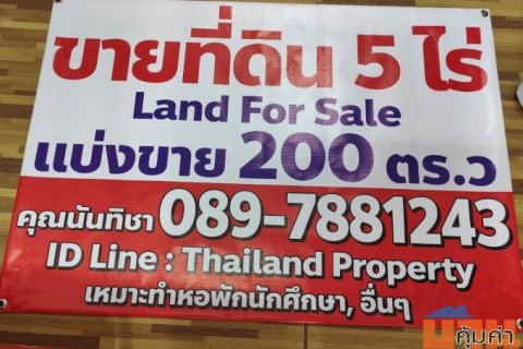 Vacant land for sale 1-9 Rais good view natural plot amidst cornfields near Kasetsart University, Kamphaeng Saen Campus,
