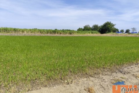 ขายที่ดินเปล่า แปลง 1-9 ไร่แปลงสวย อากาศดี มีบ่อน้ำใส แบ่งได้ ที่ใกล้หอพัก นกฮูกเก้า ม. เกษตร กำแพงแสน นครปฐม