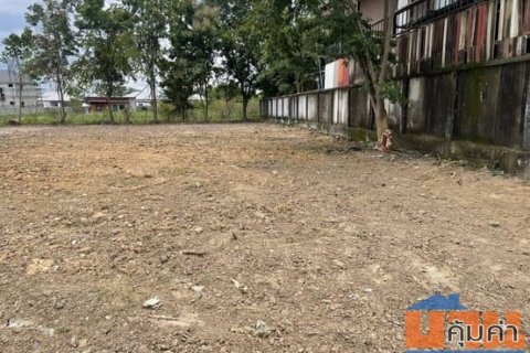 ด่วนที่สุด ที่ดินแปลงสวยถมแล้ว 244 ตร.ว. วิวทุ่งนา ดอยสุเทพ เพียง 15 นาทีจากเซ็นทรัลเฟส