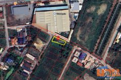 ขายที่ดิน ตำบลไทยาวาส อำเภอนครชัยศรี นครปฐม ถนนนครชัยศรี ใกล้วัดไทยาวาส