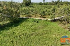 ขายที่ดินเปล่า 4-2-50 ไร่ ทำเลศักยภาพ ติดคลองกระเฉท น้ำไหลตลอดปี ใกล้นิคมอุตสาหกรรม ต.มาบข่า ระยอง