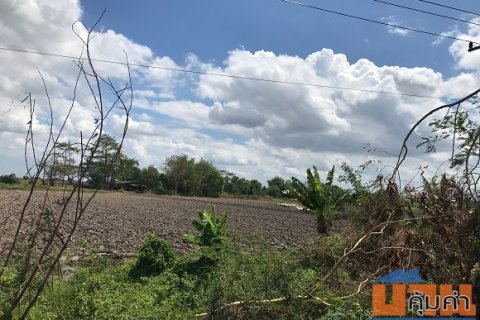 ขายด่วน ที่ดินเปล่า 271-3-60 ไร่ อ.เมือง ต.ดงละคร จ.นครนายก.