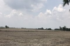 ขายด่วน  ที่ดินเปล่า 106 ไร่ 8 ตารางวา อ.บ้านนา ต.พิกุลออก นครนายก